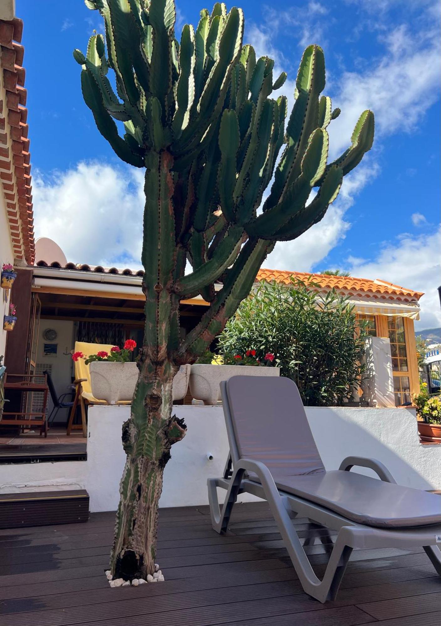 Cactus'S House, 150 M Beach, 1 Bdr, 4 Guests, Wifi, Netflix, アデヘ エクステリア 写真
